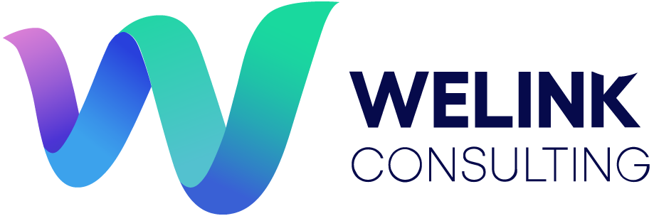logo welinkvisaconsulting